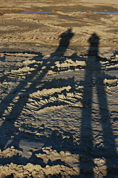 Long shadows in Amager Strandpark